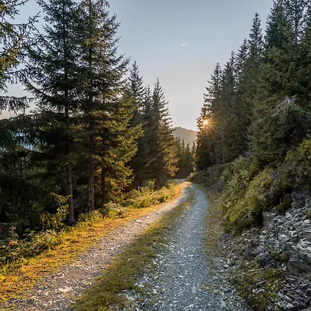 Haus Dienten Steinadler アパート