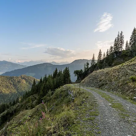 アパート Haus Dienten Steinadler