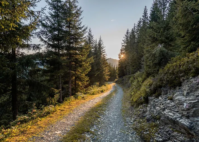 Haus Dienten Steinadler Διαμέρισμα