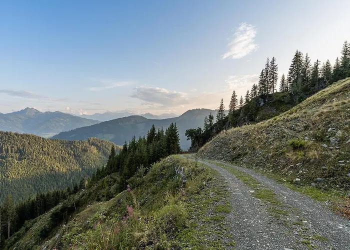 アパート Haus Dienten Steinadler